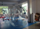 Размер шарика 2.5m воды гигантского раздувного пузыря слон с водоустойчивым PVC 0.8mm поставщик