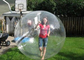 Сделайте прогулку водостотьким Aqua ясности PVC 1.0mm на шарике/воздушном шаре воды раздувных поставщик