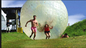 Прочным напечатанный логосом шарик Zorb плавательного бассеина раздувной для игр воды поставщик
